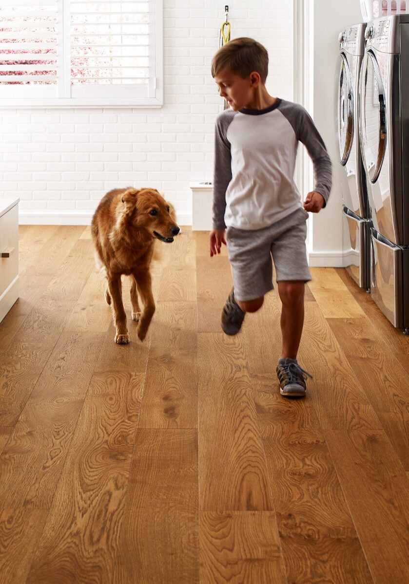 Pet friendly floor | Floor to Ceiling Mitchell